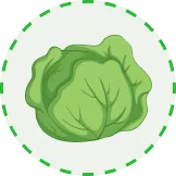 28圈：汇聚全球体育精彩 - 28圈APP