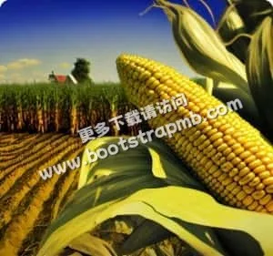 专业体育数据，实时更新 - 28圈APP