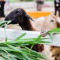 站内搜索 - 28圈APP